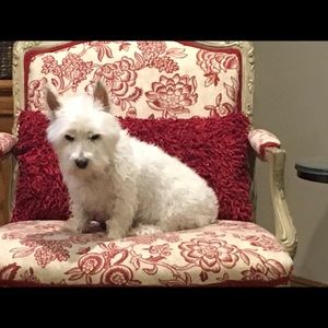 Meet your Posher, Scott